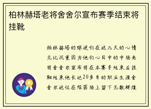 柏林赫塔老将舍舍尔宣布赛季结束将挂靴