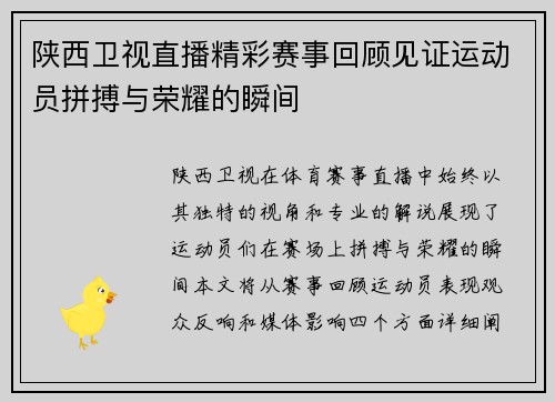 陕西卫视直播精彩赛事回顾见证运动员拼搏与荣耀的瞬间
